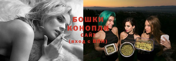 сатива Осташков