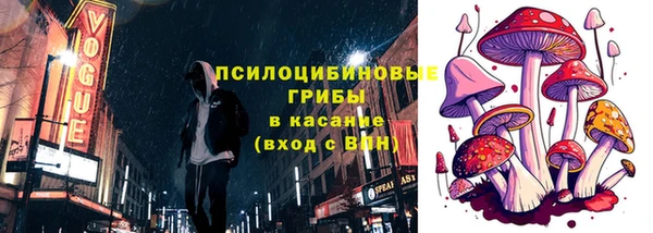 ПСИЛОЦИБИНОВЫЕ ГРИБЫ Алексин