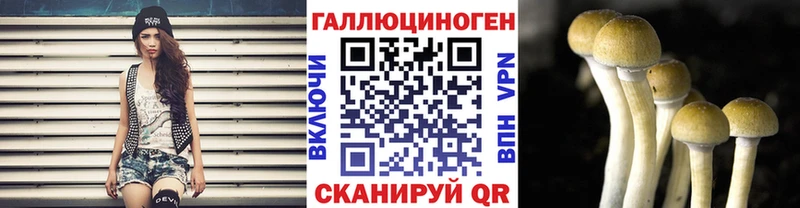 магазин продажи   площадка наркотические препараты  Галлюциногенные грибы Psilocybine cubensis  Билибино 